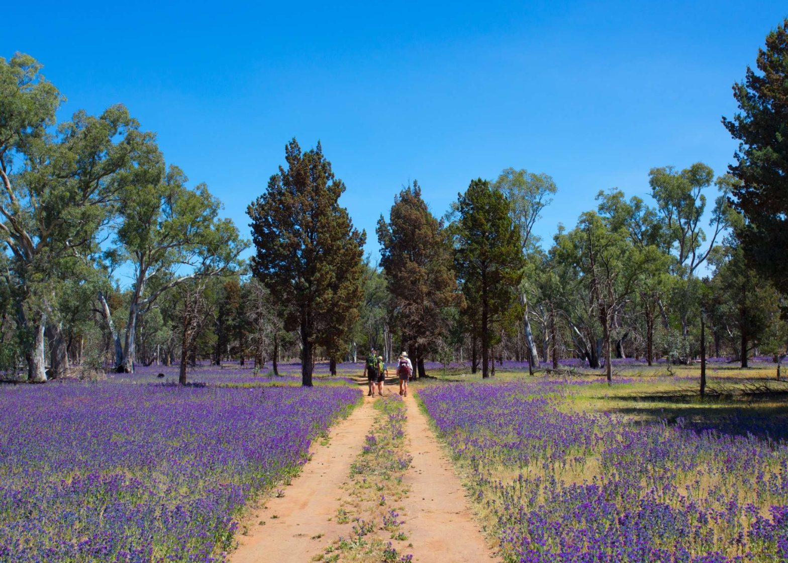 Flinders Ranges Private Hiking Tour, Private Walking Holidays Australia