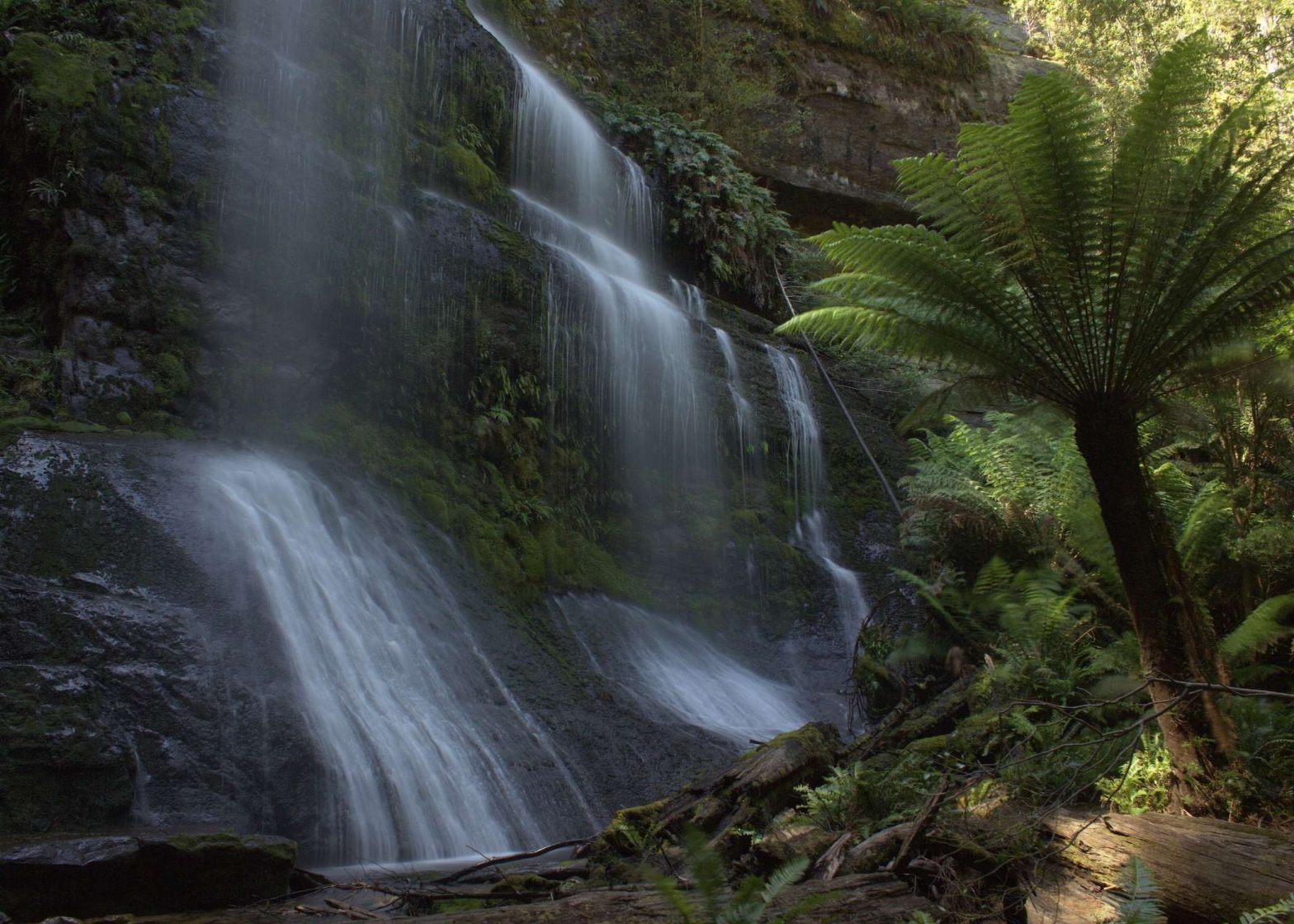 South West and Mount Field Hiking Tour, Tassie Walking Company