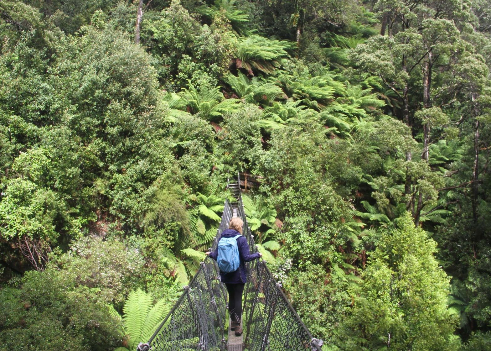 Park Trek Tarkine Tour, Tasmanian Walking Company