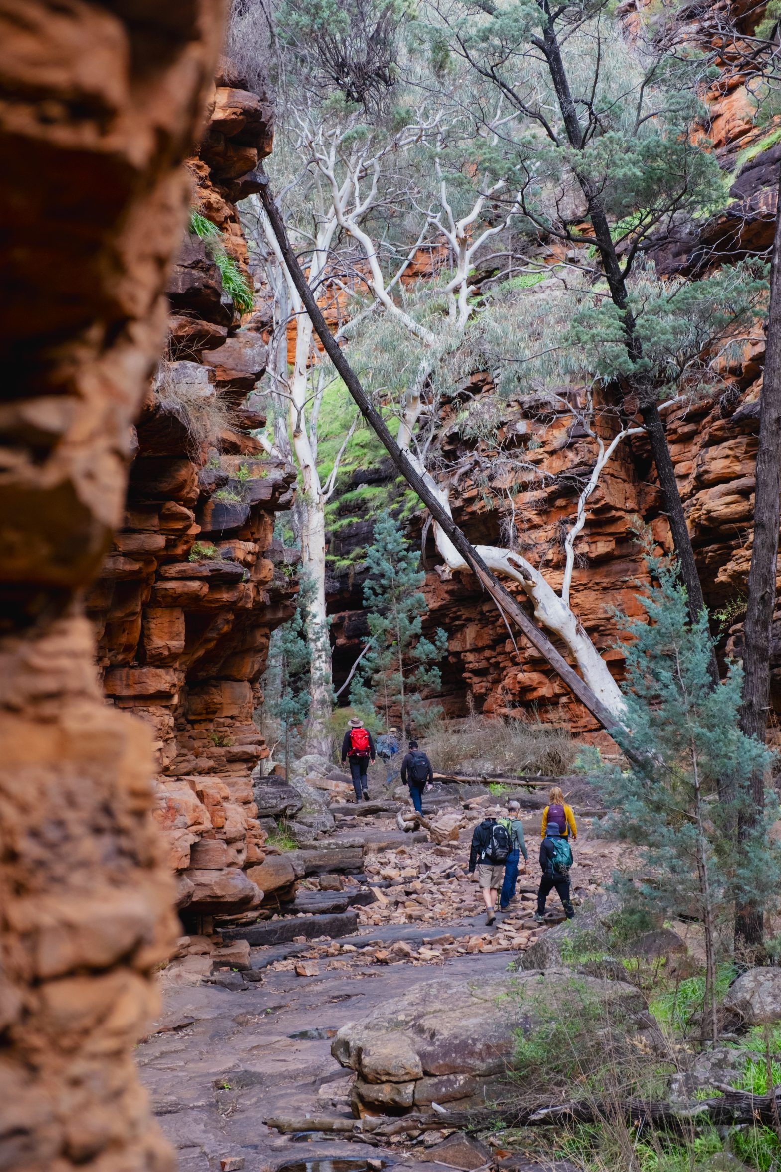 DSCF2320-InstaPost 2023-04-04 | Park Trek Flinders Sept 23 - G