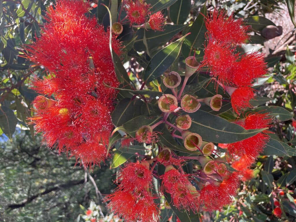 The Art of finding time for micro-retreats