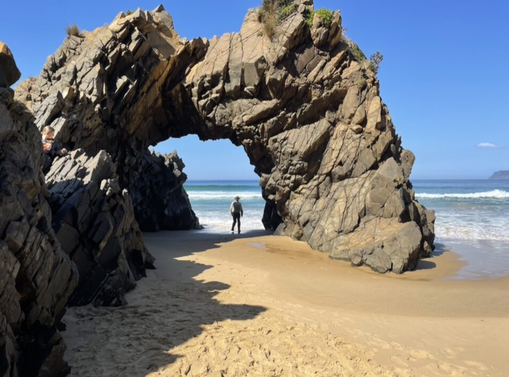 Screen-Shot-2024-01-25-at-2.44.11-pm | Park Trek