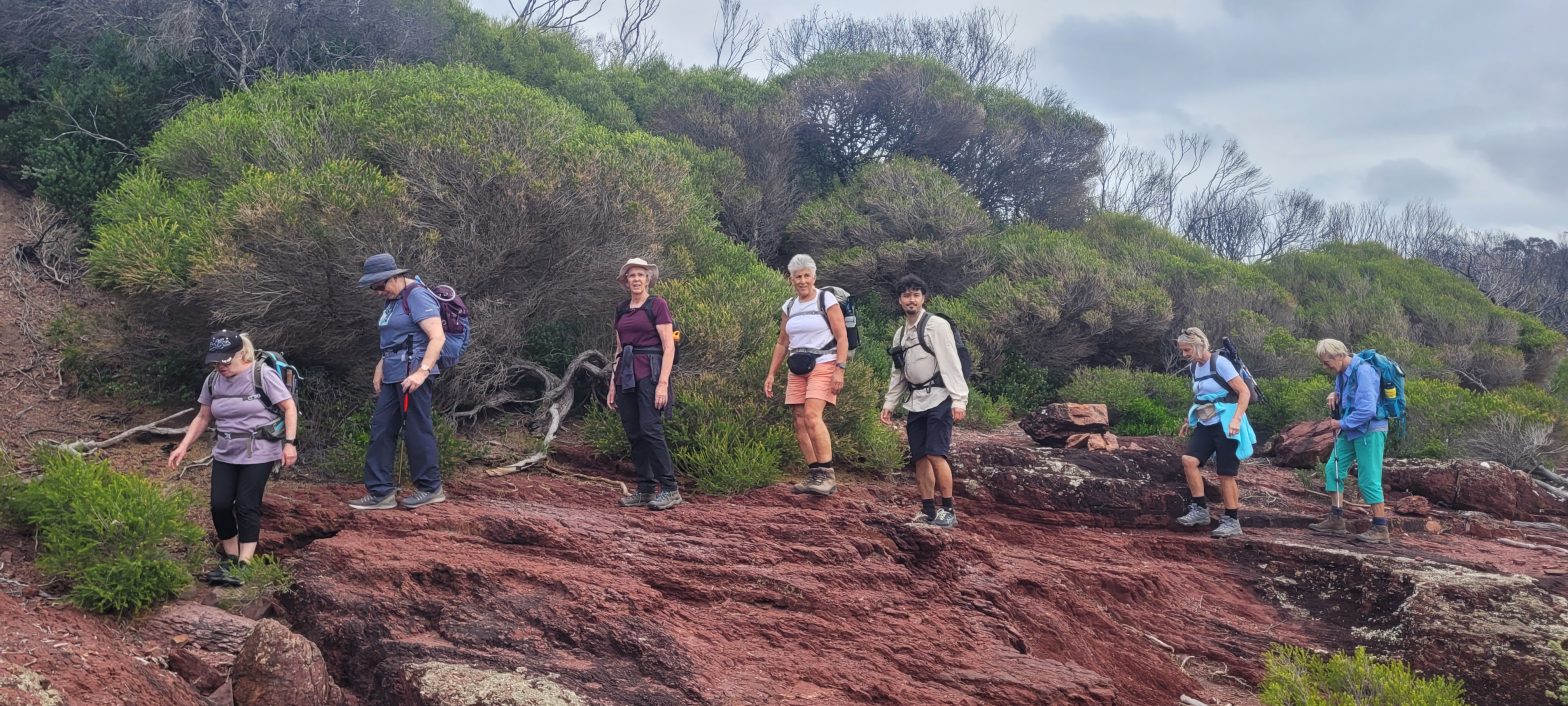 20240404_154046 | Park Trek happy walkers light to light