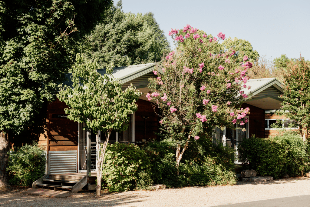 Accom Bright-562 | Park Trek Accom Bright-562