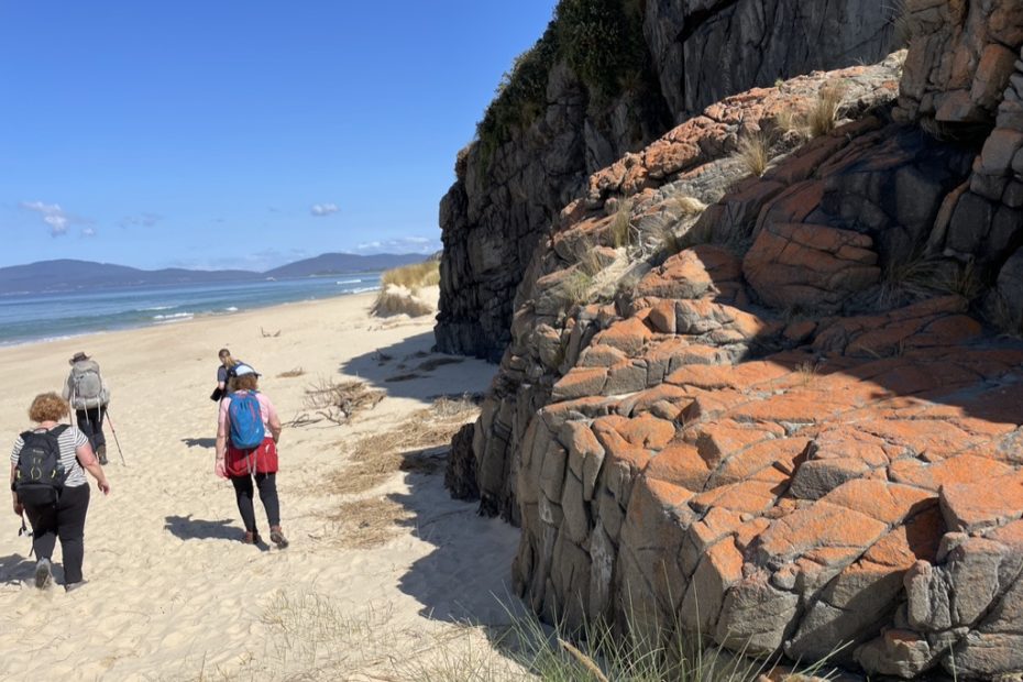 Beautiful Bruny Island Beaches and Lichen Covered Rocks