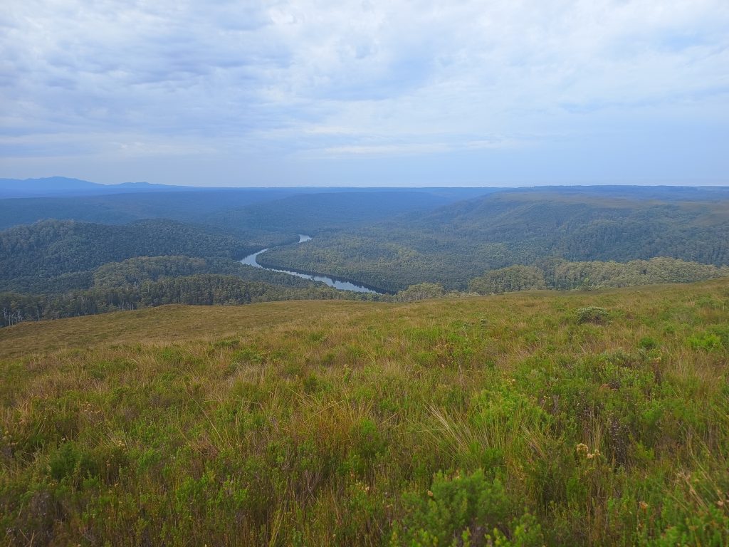 Tarkine Views - A Unique Wilderness