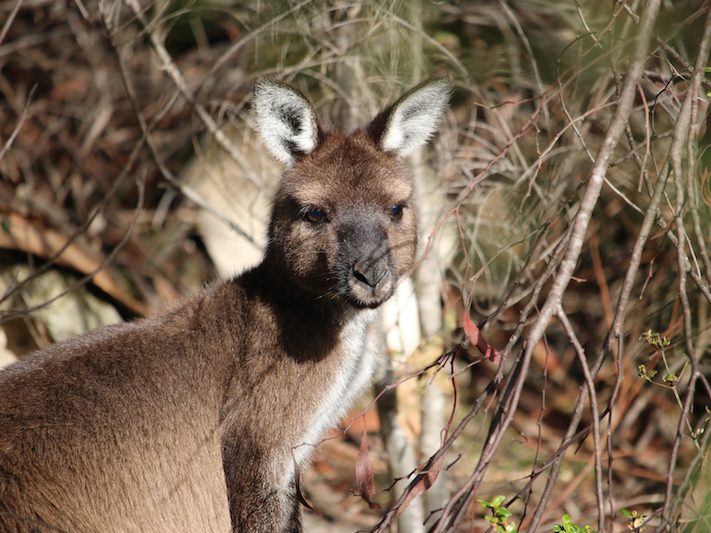 IMG_5349 | Park Trek