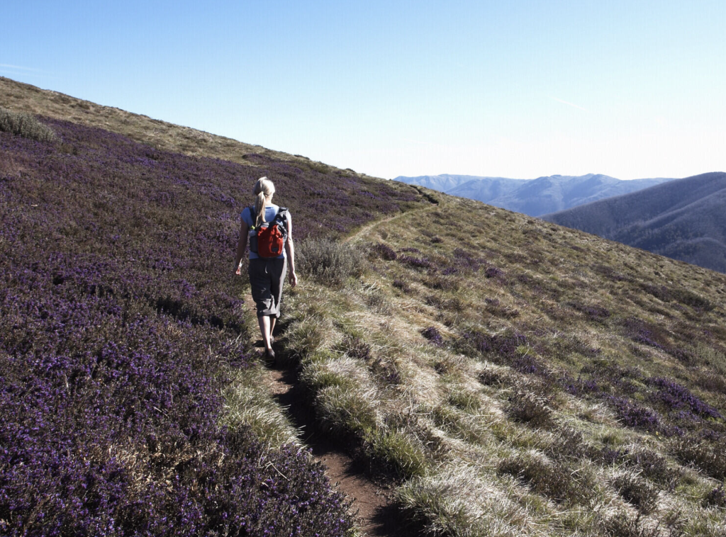 Screen-Shot-2024-04-29-at-10.02.37-am | Park Trek