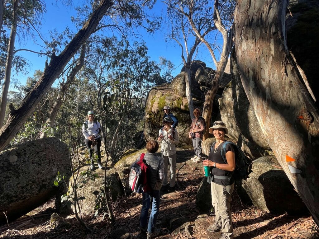 VA Highlights Day 1 | Park Trek Chalwell Galleries Vic Alps Highlights Guided Walk