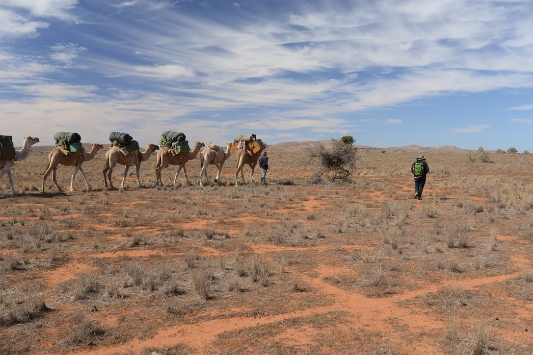 (c)crthompson_fitzroy_australia | Park Trek