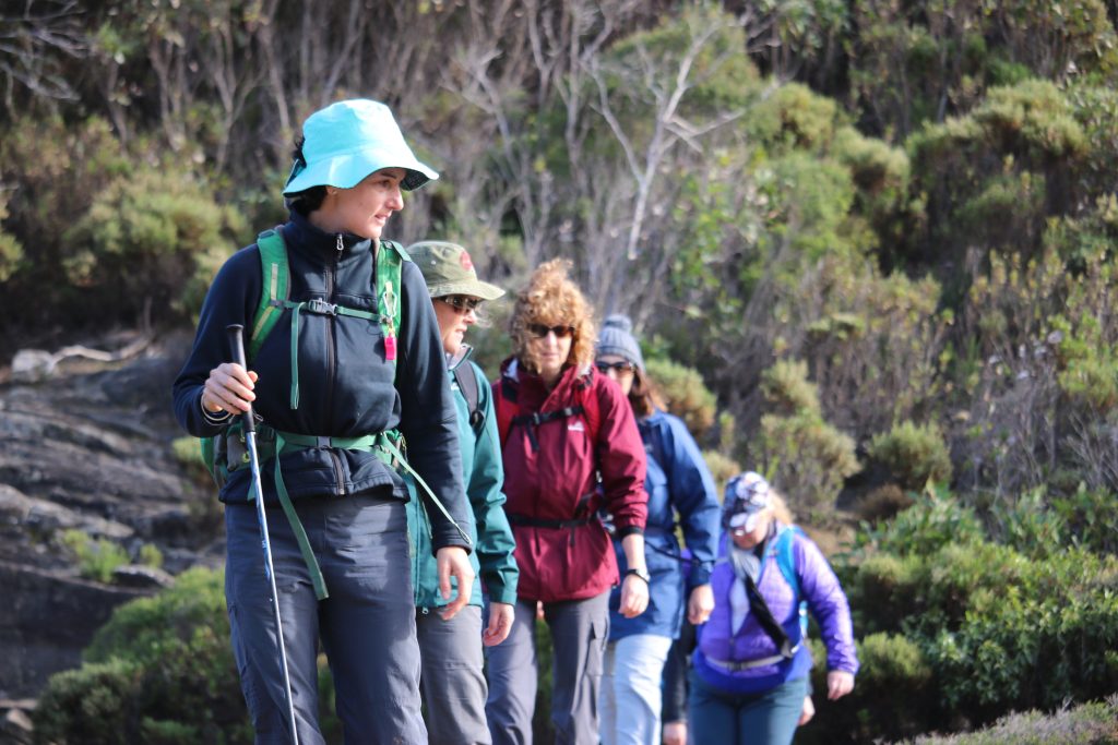 IMG_5359 | Park Trek