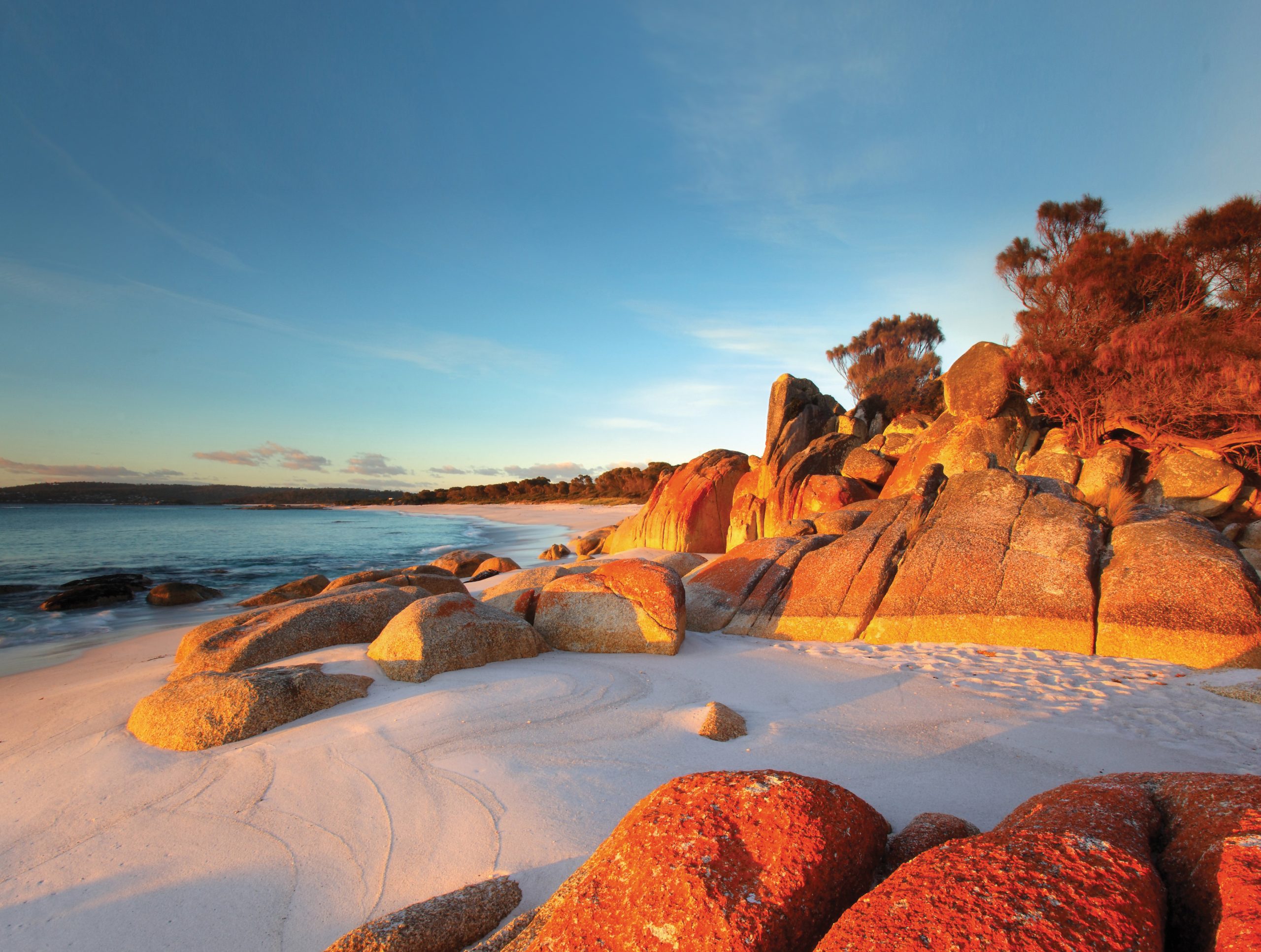 Bay of Fires | Park Trek Bay of Fires