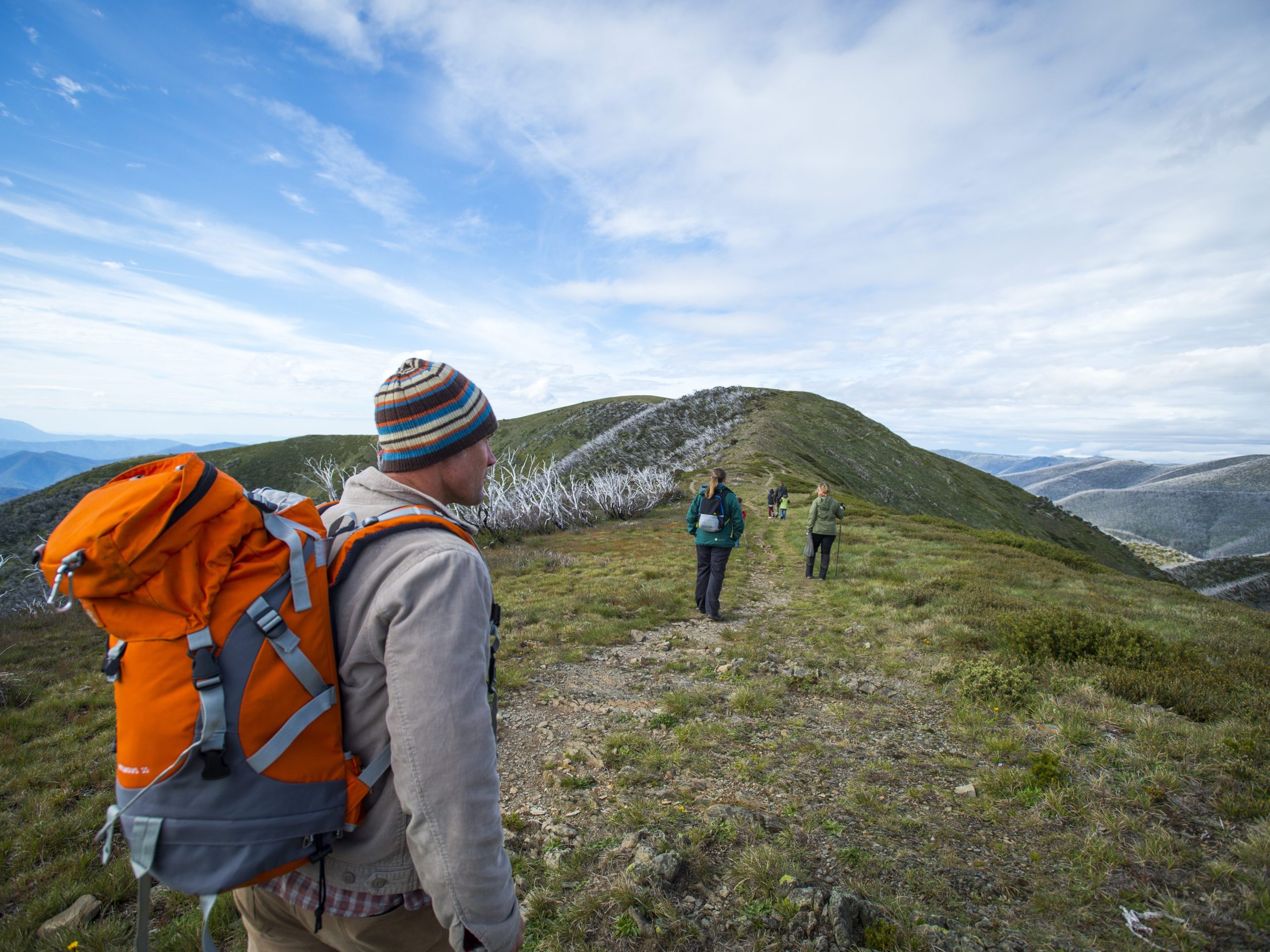 Mount Feathertop | Park Trek Epic views, diverse flora and fauna, and connections to last a lifetime