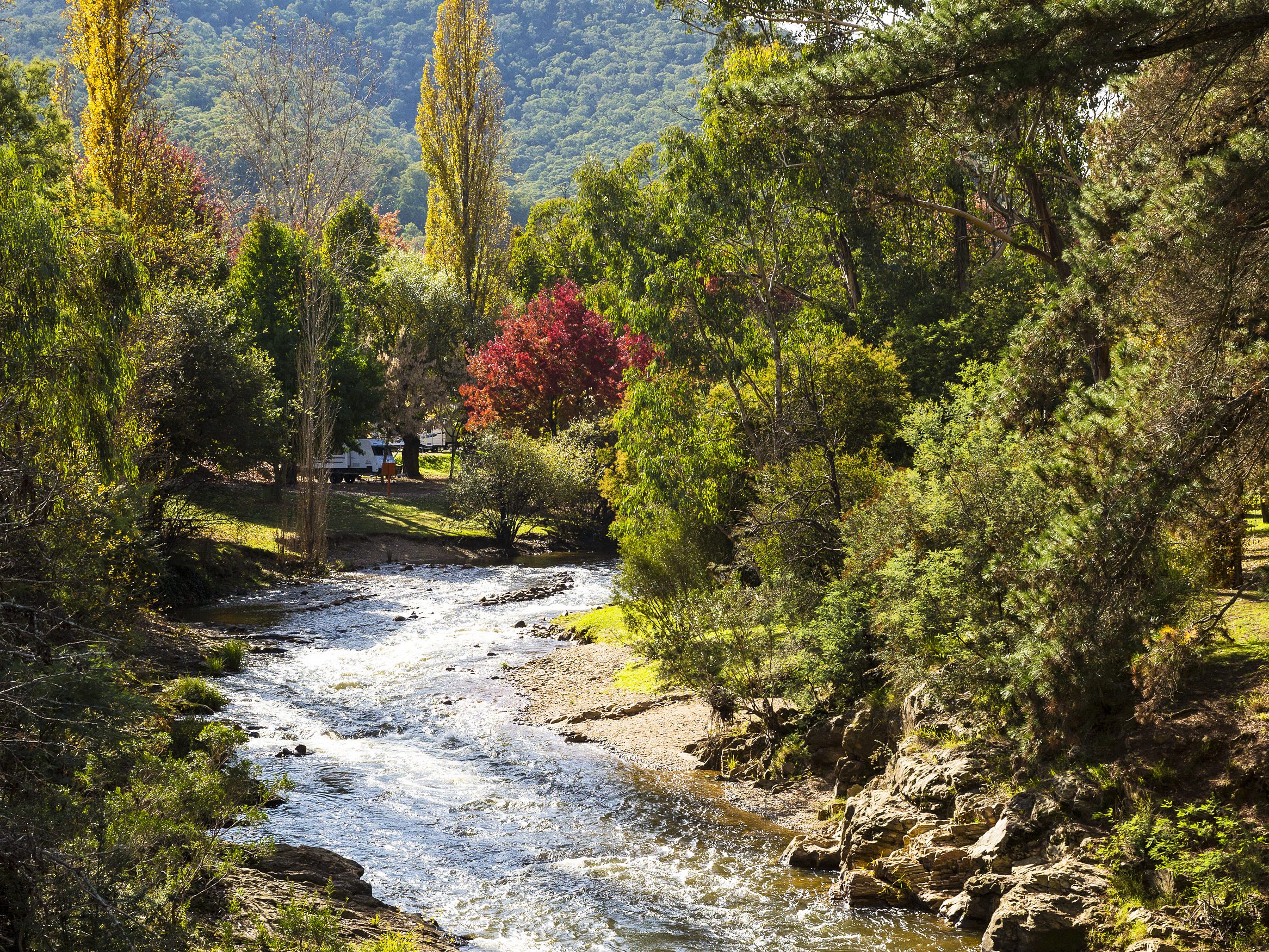 Ovens River, Bright | Park Trek The beautiful township of Bright is our base throughout our walking tour