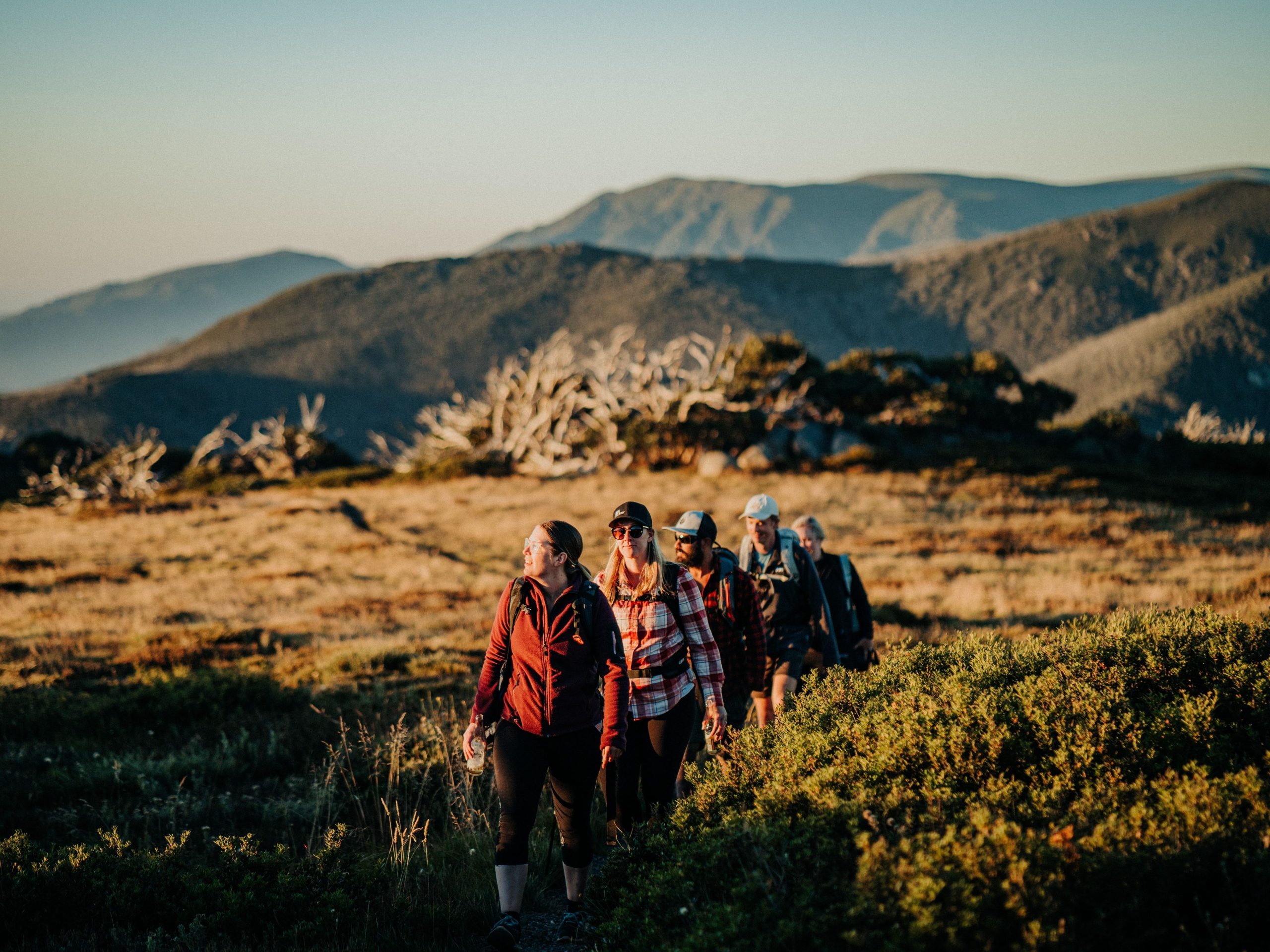 Falls Creek in Summer | Park Trek Walking in the high country to slow down and reconnect with what matters most