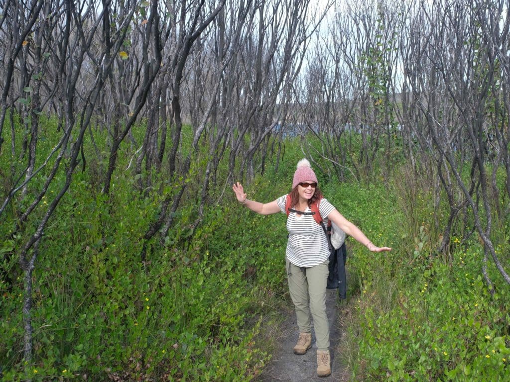 L2L Website Photos 4 | Park Trek