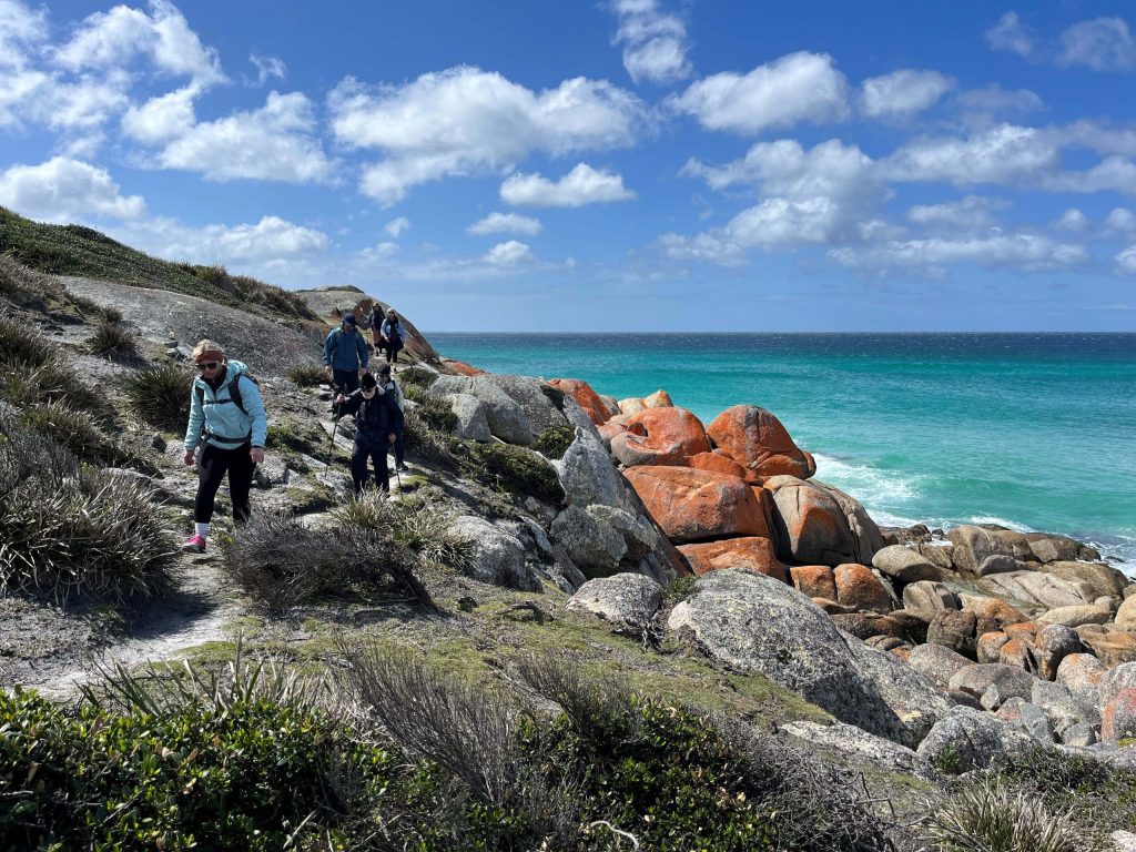 BOF Lichen Rocks | Park Trek