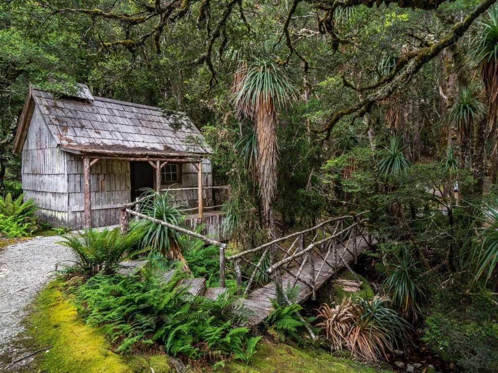 Cradle Waldheim | Park Trek