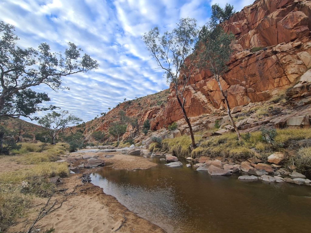 Larapinta Fish Hole | Park Trek