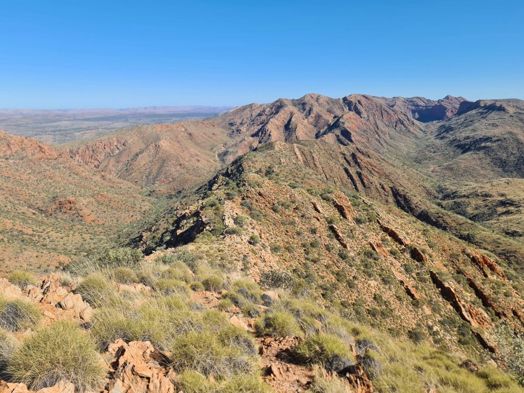 Larapinta Razorback Ridge | Park Trek
