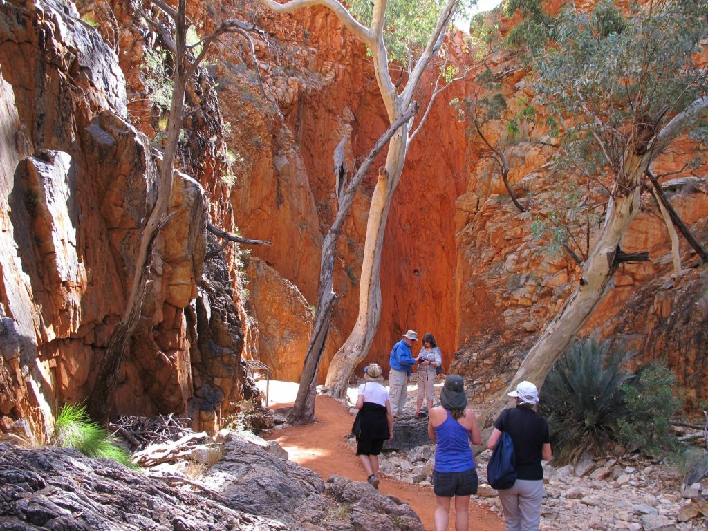 Larapinta Standley Chasm | Park Trek