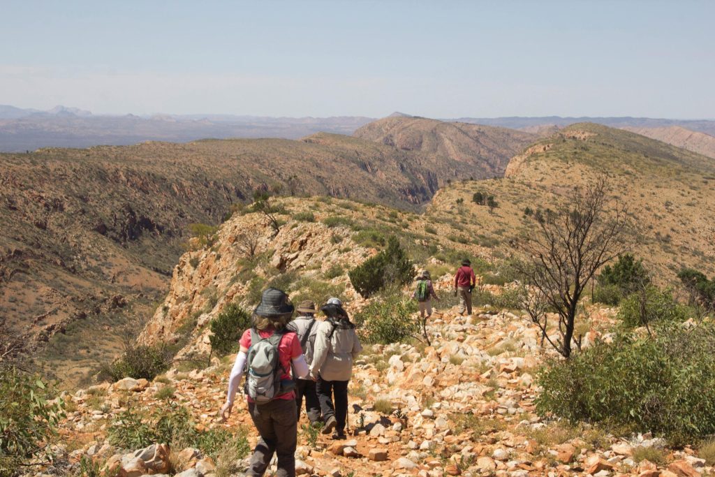 Larapinta group walking downhill | Park Trek