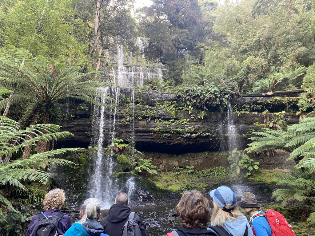 SWMF Group At Falls | Park Trek