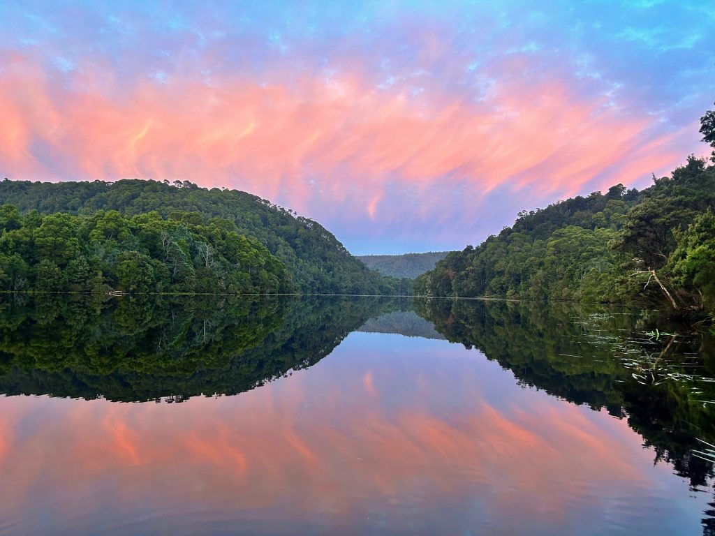 Tarkine Pieman River Sublime | Park Trek Tarkine Hero Image