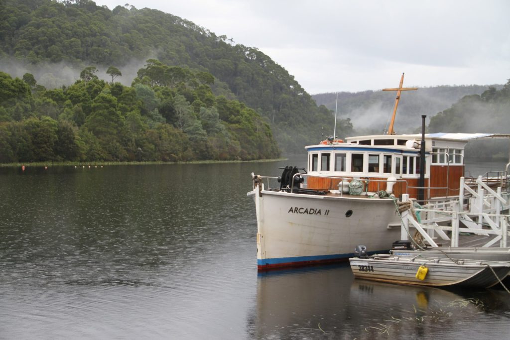 Tarkine The Arcadia | Park Trek