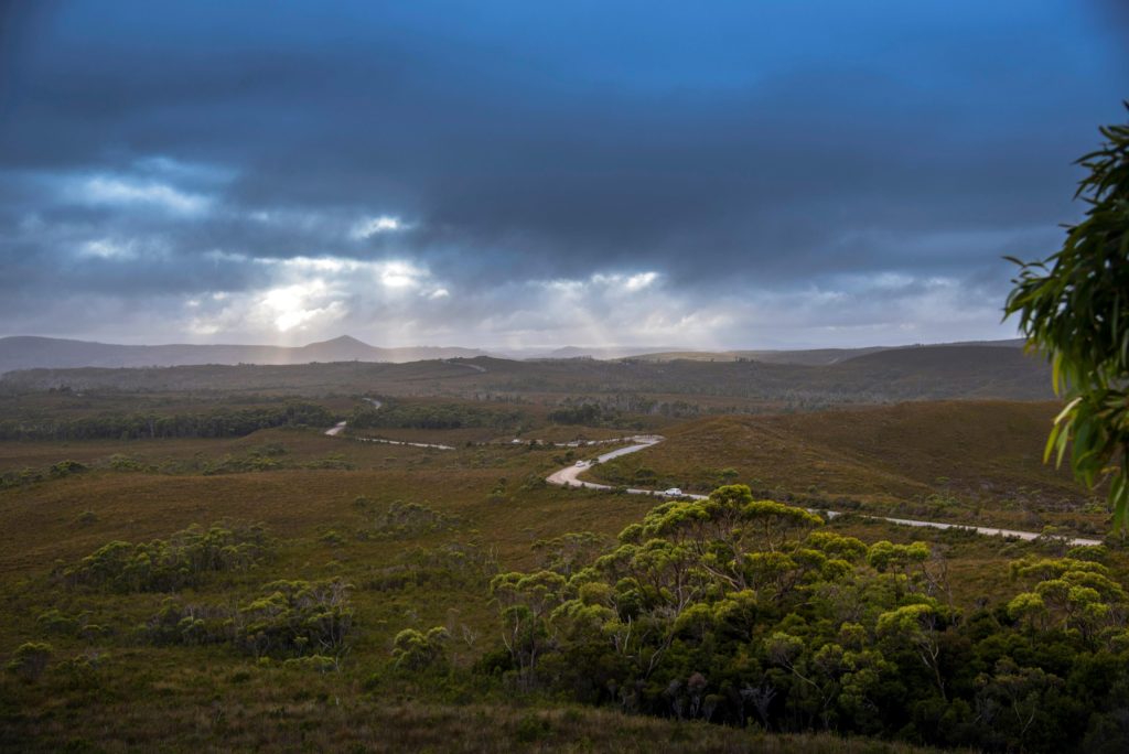 Tarkine Tundra | Park Trek