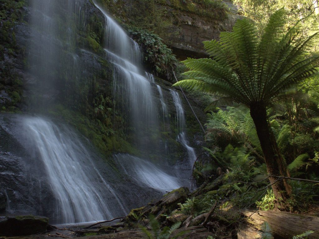 waterfall - SWW | Park Trek
