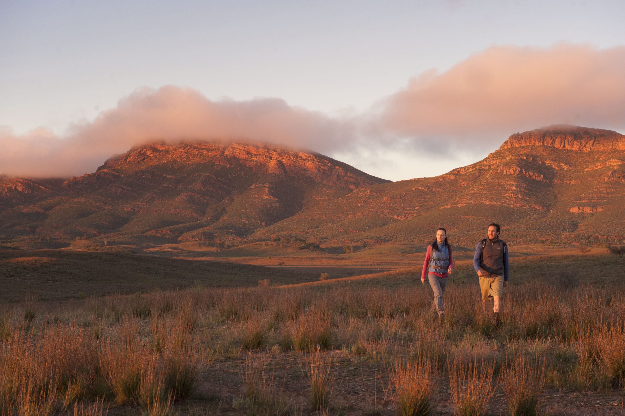 Wilpena Pound Ikara Flinders Ranges