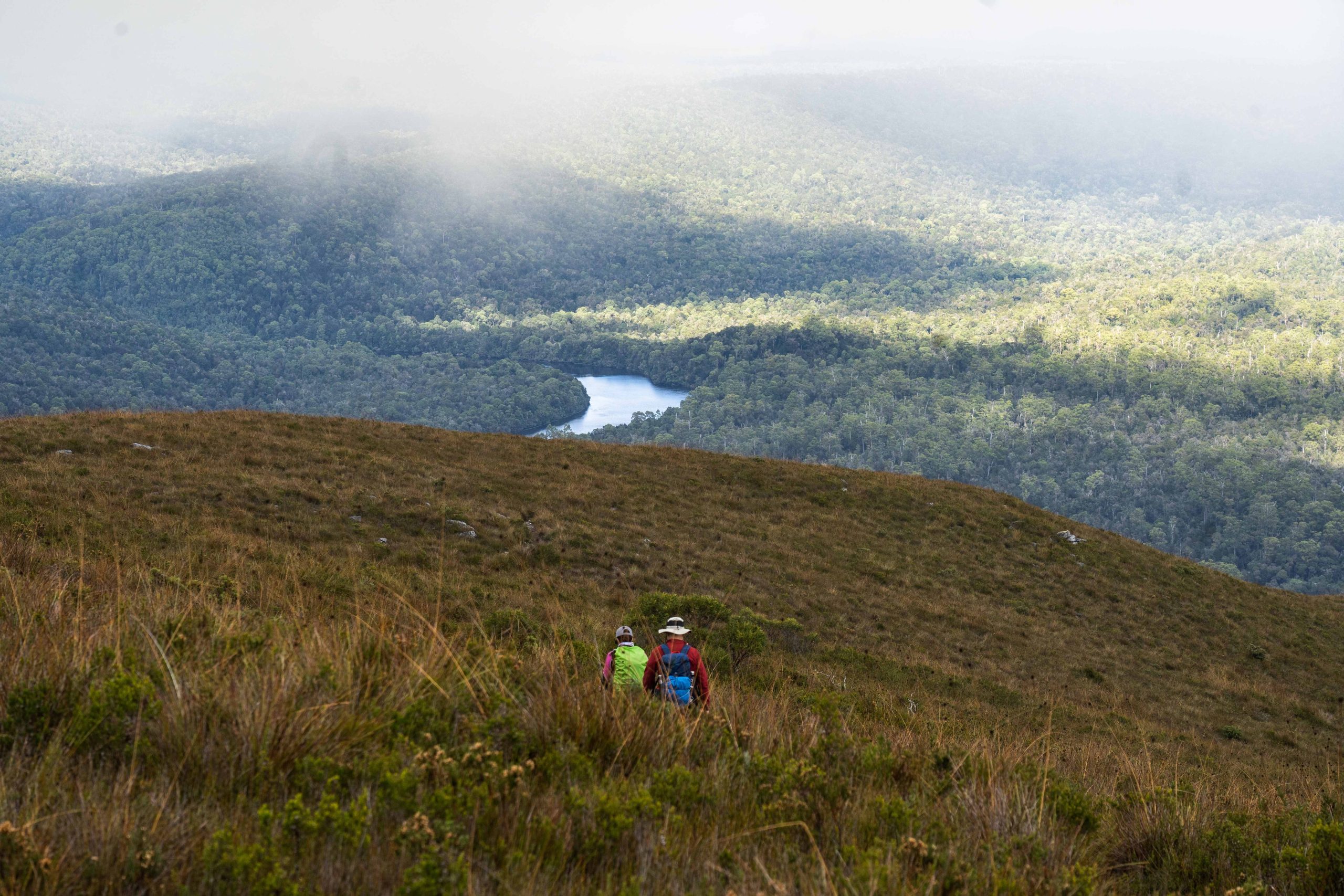 Tarkine Heathland | Park Trek Tarkine Wilderness & Cradle Mountain Walk