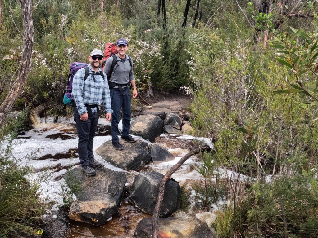 Walking and wellness for corporates