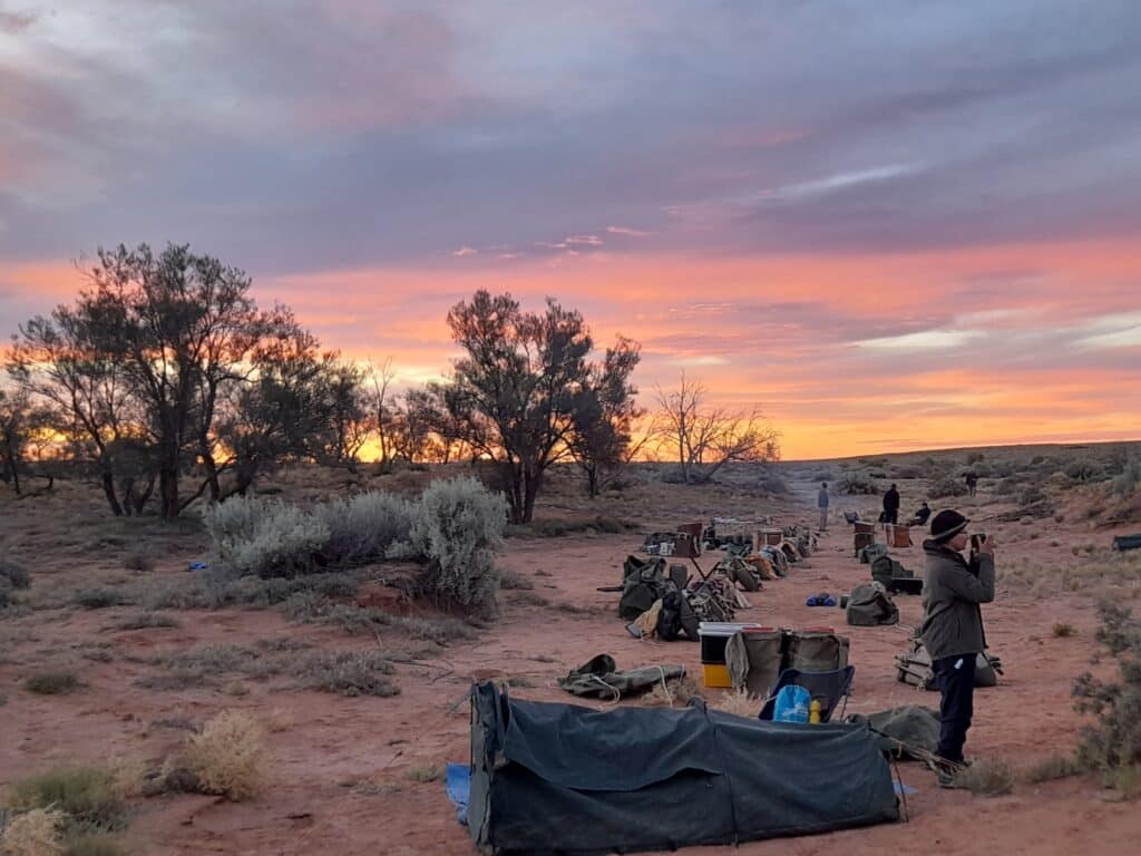 Camels Sunrise | Park Trek