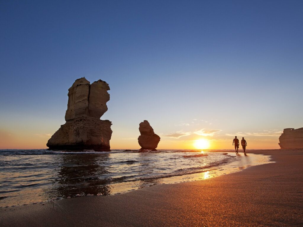 Ecotourism and Great Ocean Guided Walk