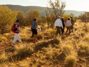 Walking in Central Australia | Park Trek Best Australian Guided Walking Holidays