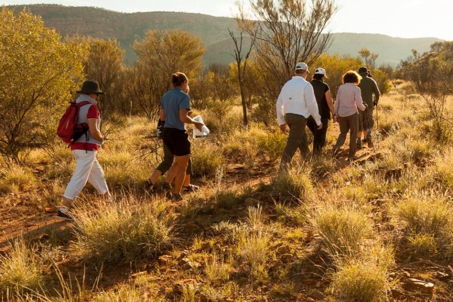 Best Australian Guided Walking Holidays