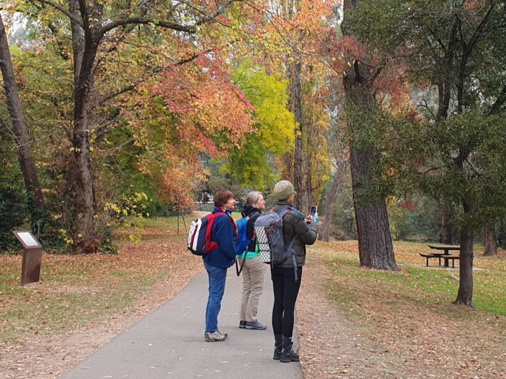 VA-Highlights-Bright-Canyon-Walk-1024x768 | Park Trek You Can Prepare For Your Holiday by Walking Virtually Anywhere