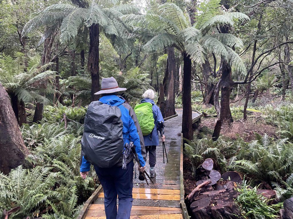 WP-Tongue-Pt-Walk-2-1024x768 | Park Trek