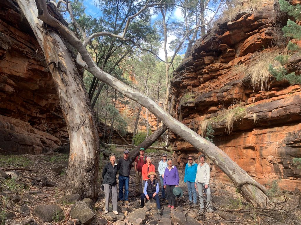 Alligator Gorge Ikara Flinders