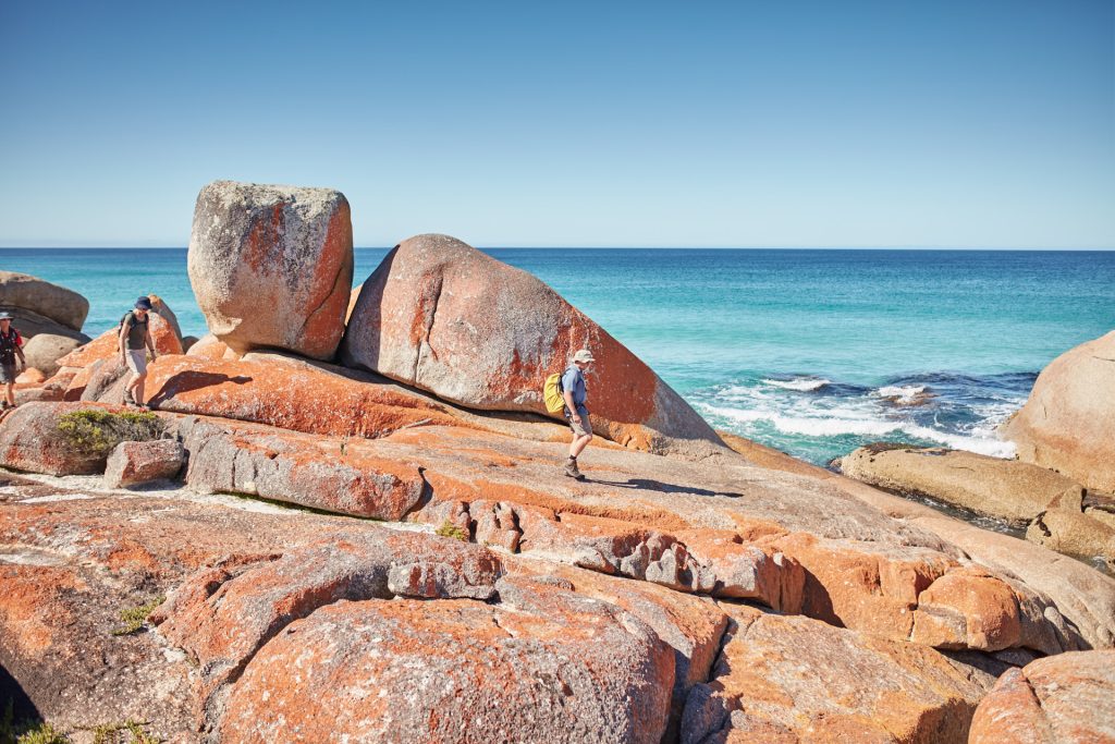 Bay of Fires Guided Walk