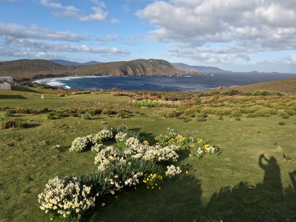 Best Guided Walking Holidays in Australia