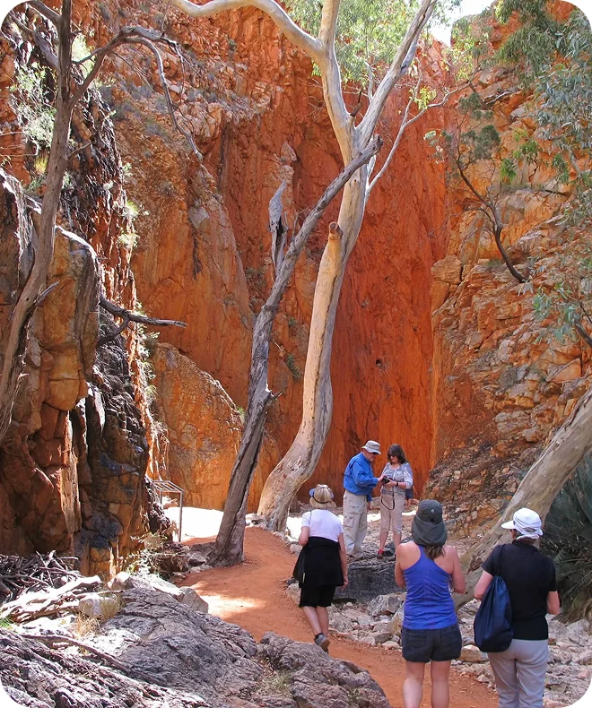 image 14 | Park Trek