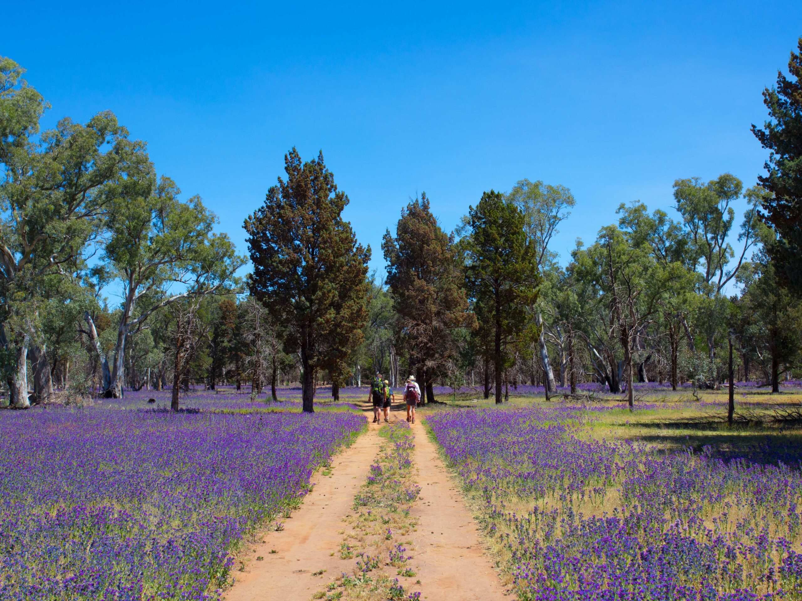 Australian Guided Walking Holidays