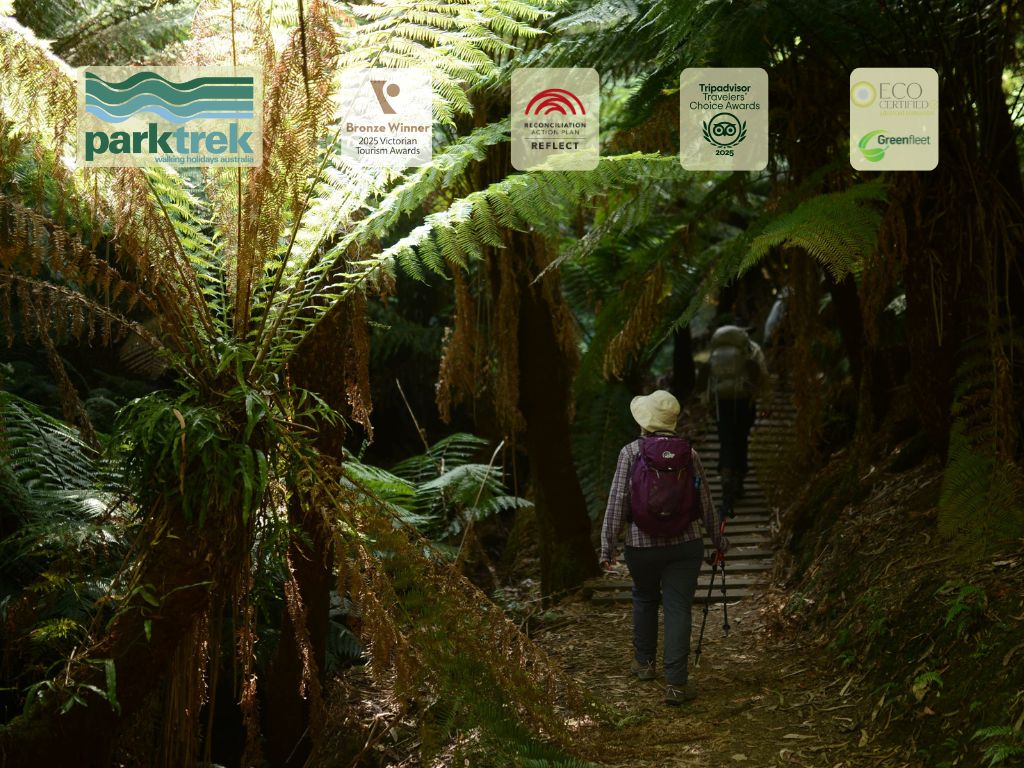 Best Australian Guided Walking Holidays