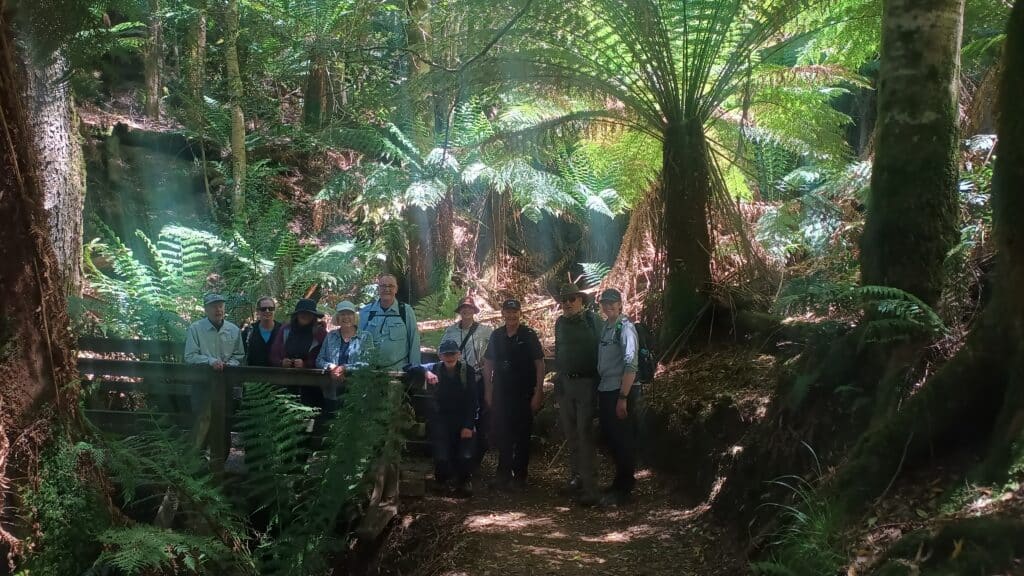 Tarkine guided walking holiday in australia