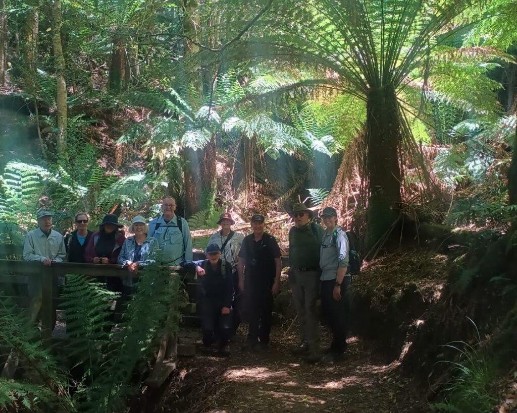 Best Australian Guided Walking Holidays