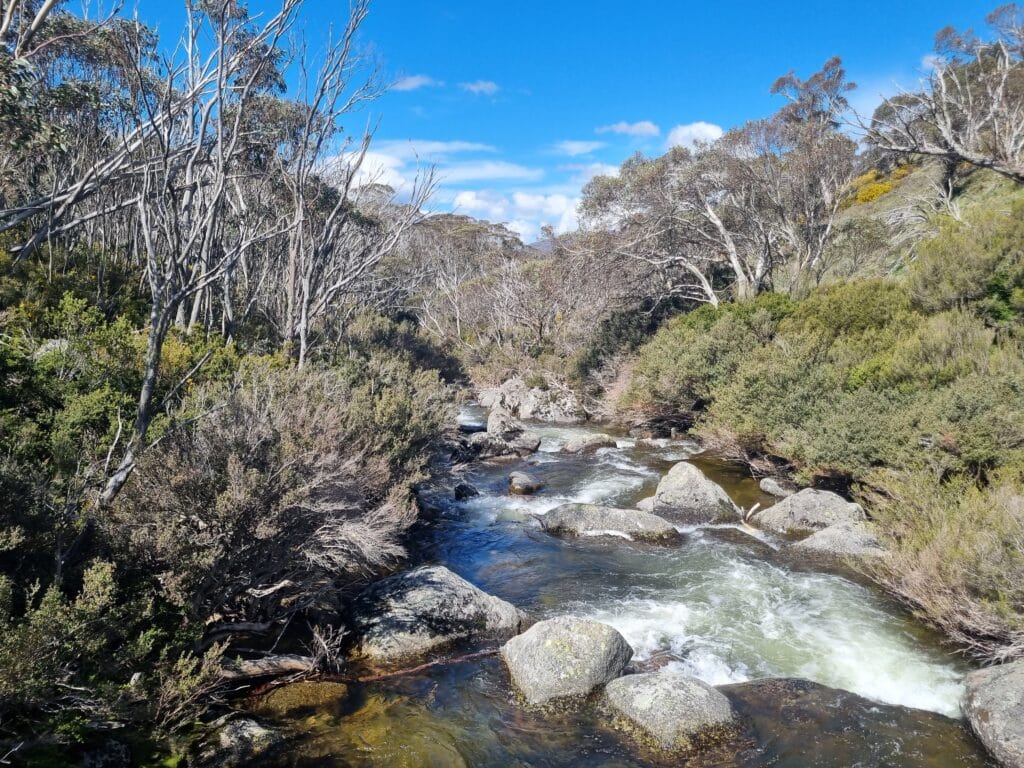 20251124_155207 | Park Trek Thredbo River