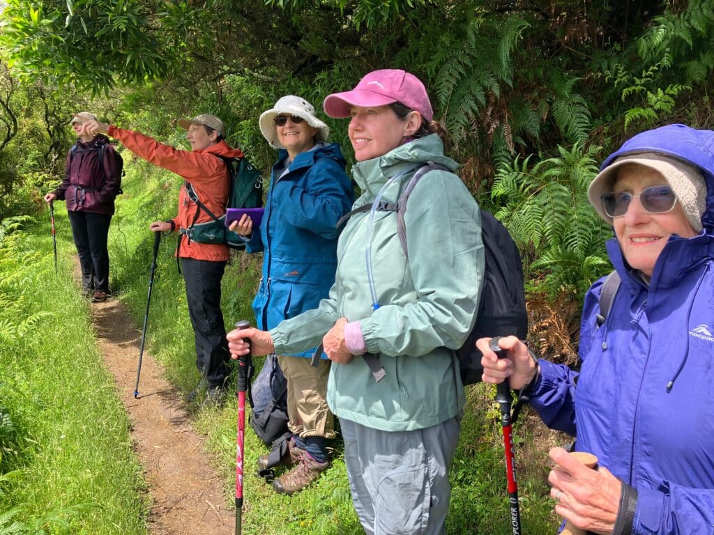 Great Ocean Walk | Park Trek Best Australian Guided Walking Holidays